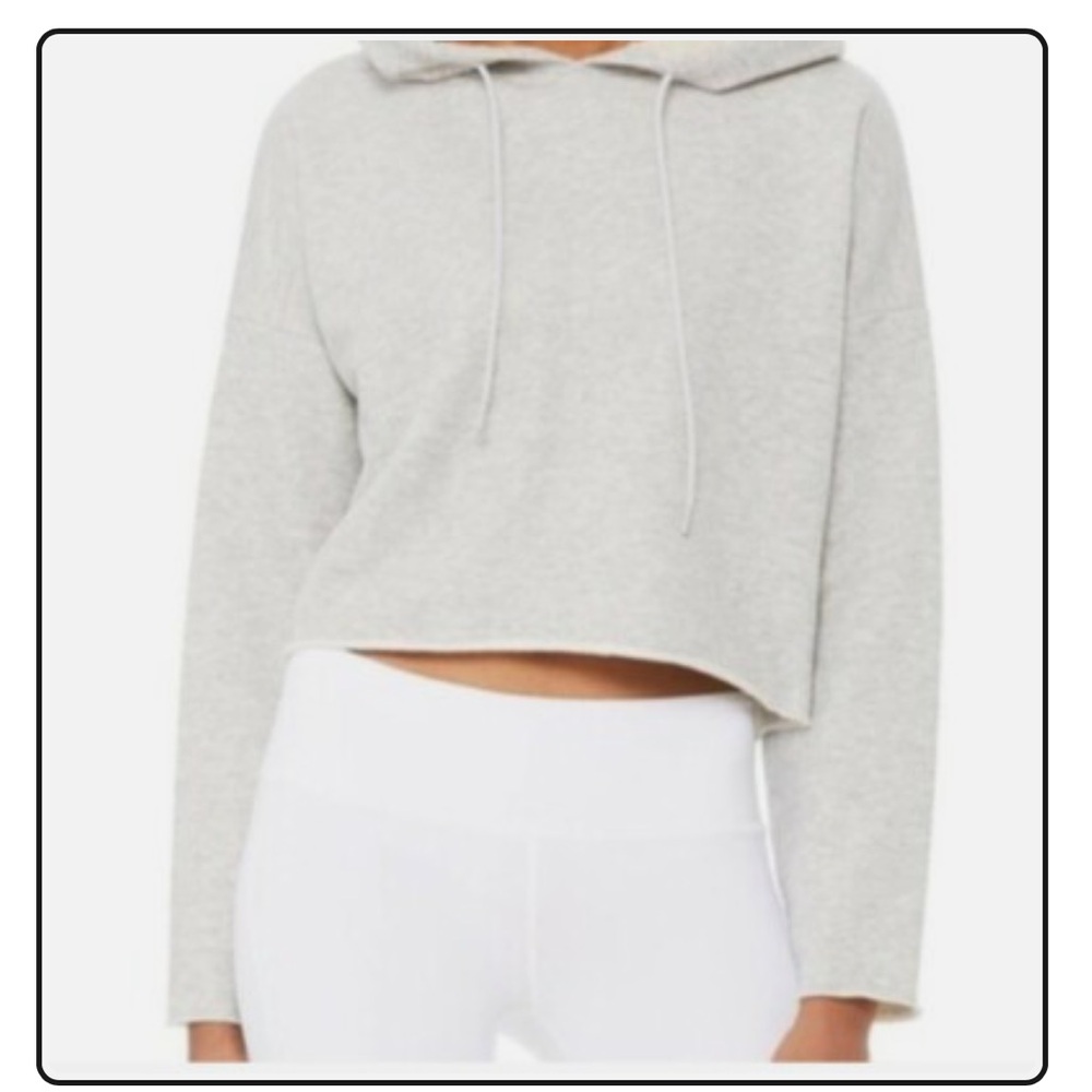 Alo Gray Cropped Hoodie